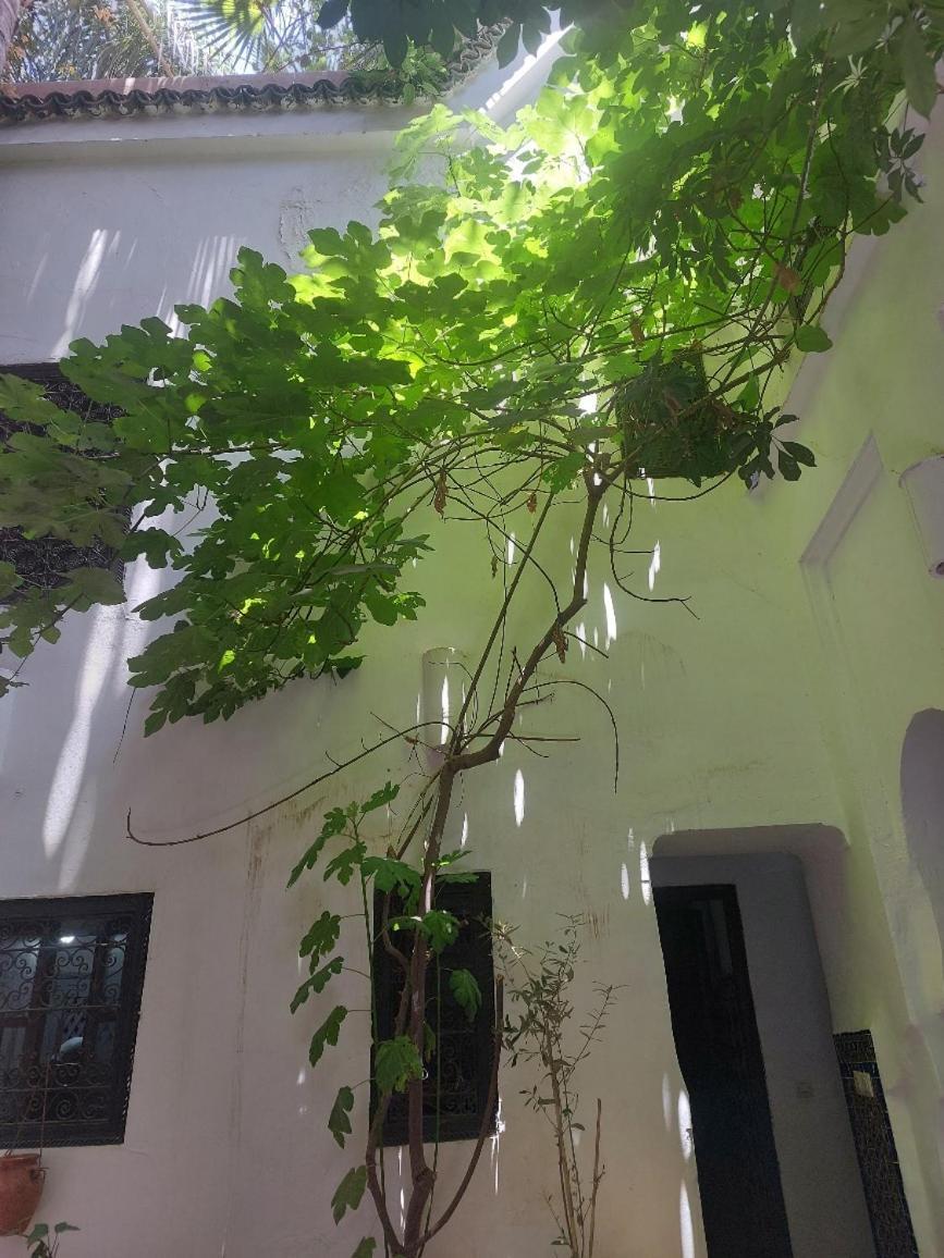 Riad Dar Lalla Fatna Marrakesch Exterior foto